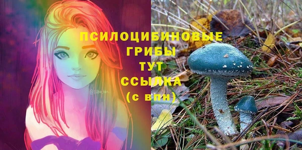 герыч Богородск