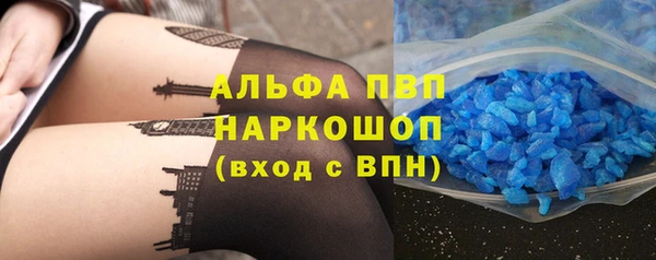 прущий лед Богданович