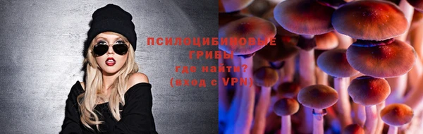 МДМА Богородицк