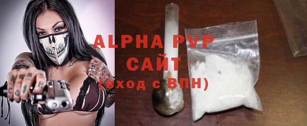 прущий лед Богданович