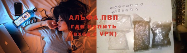 прущий лед Богданович