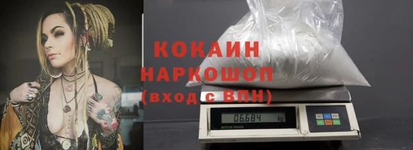 прущий лед Богданович
